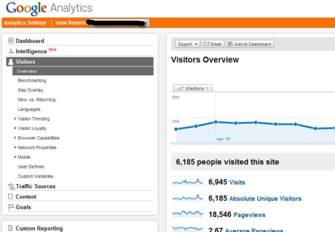 web site stats example