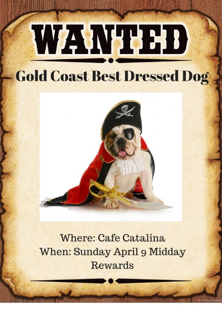 Who was Top Dog at Cafe Catalina?